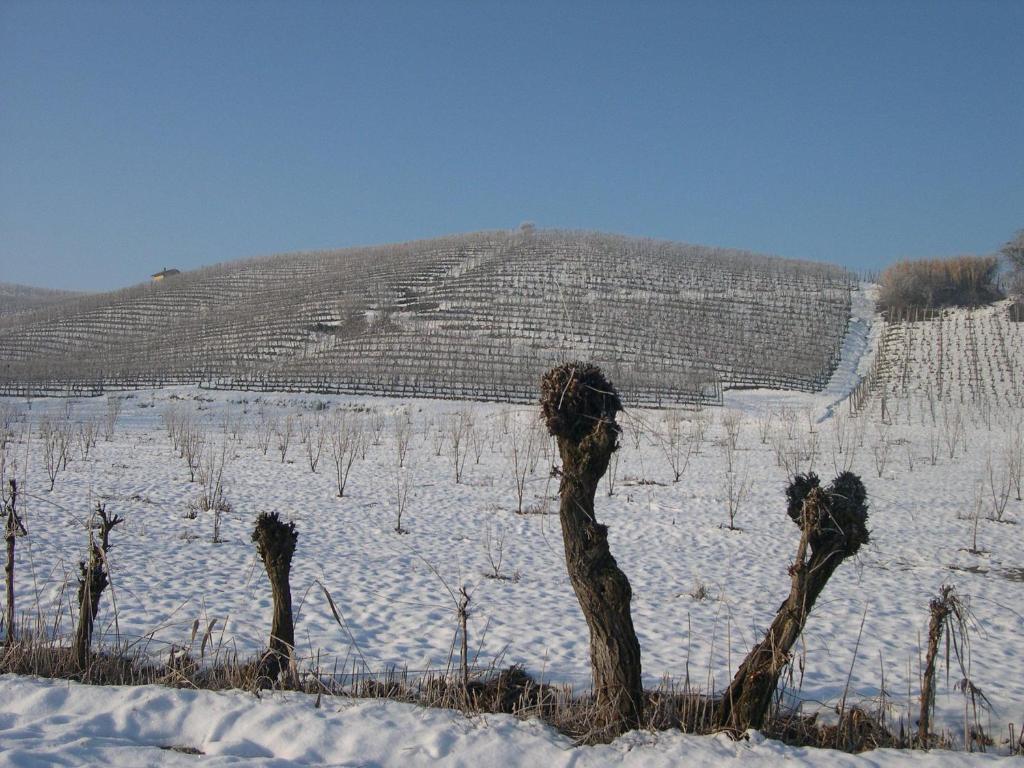 הוילה לה מורה Cascina Ballarin מראה חיצוני תמונה