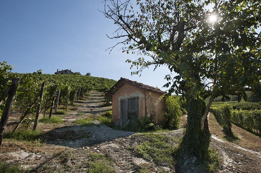 הוילה לה מורה Cascina Ballarin מראה חיצוני תמונה